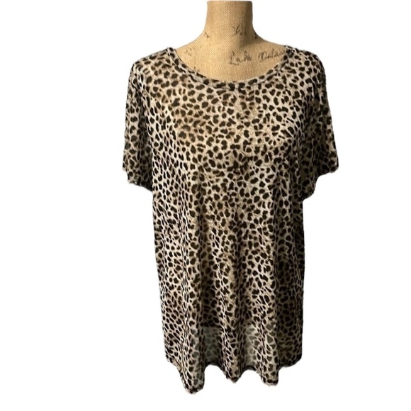 Torrid size 3 semi-sheer cheetah print top. EUC. - Picture 1 of 7